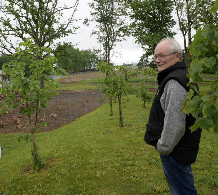 Gintaras Bingelis representor of Ilzenberg farm © Ilzenbergo dvaras