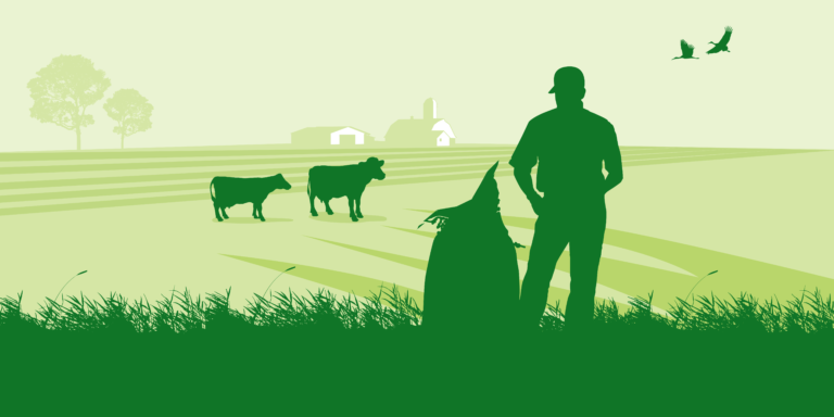 Grafik Baltic Farmer – 16 FEB 2021-02