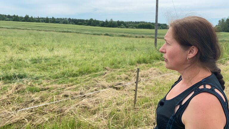 Airi Külvet keeps a close eye on her lands and visits her animals daily